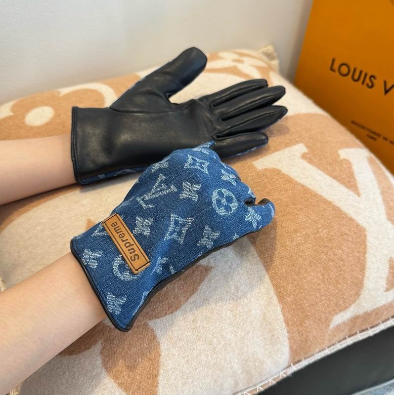 LV gloves hm40